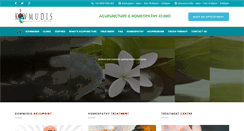 Desktop Screenshot of kowmudis.com
